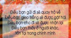 doi-tac