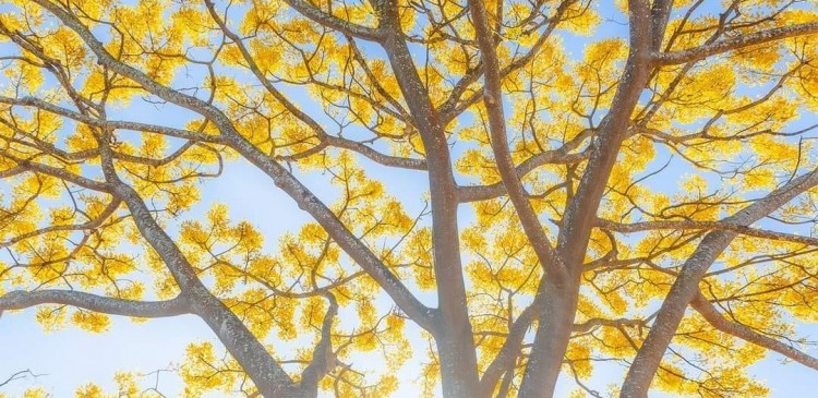Những sự thật luôn hiện hữu