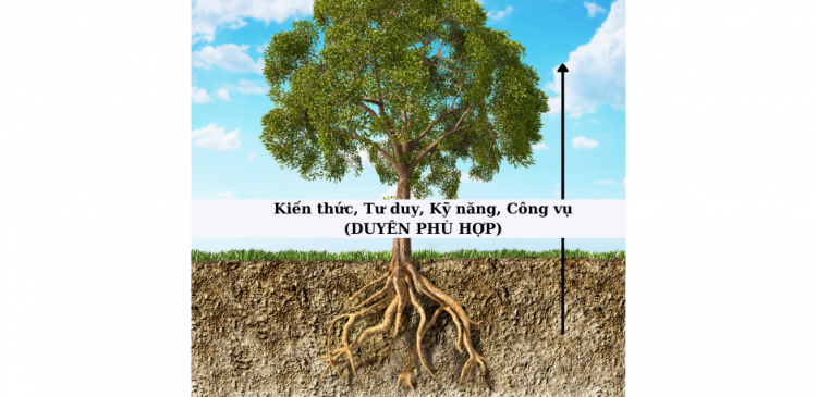 Mọi thứ không Ngẫu Nhiên trong Bất động sản